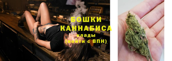прущие крисы Горнозаводск