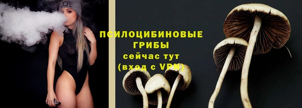 прущие крисы Горнозаводск