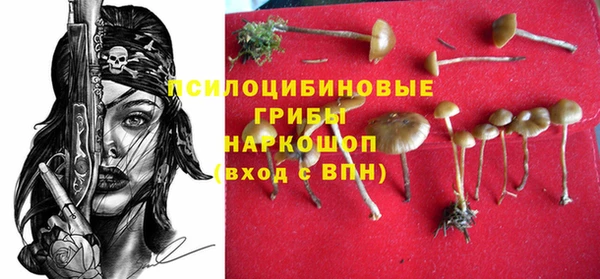 стаф Горно-Алтайск