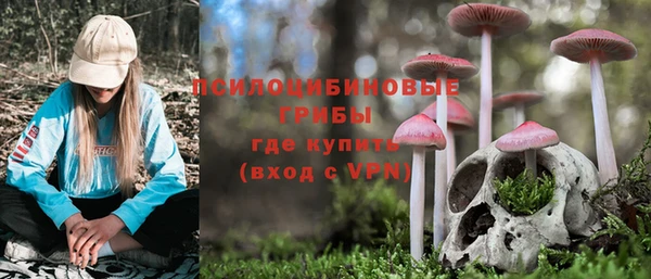 прущие крисы Горнозаводск