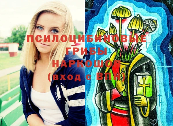 бошки Горняк