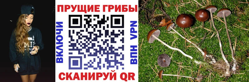 Купить где  Нижняя Салда  Галлюциногенные грибы прущие грибы 